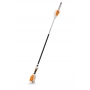 HTA 66. 30 CM/12. 71 PM3 PERCHE ELAG