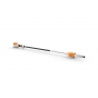 HTA 66. 30 CM/12. 71 PM3 PERCHE ELAG