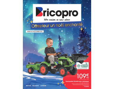 Offrez-leur un noël enchanté