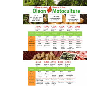 Promotion Pommes de terre